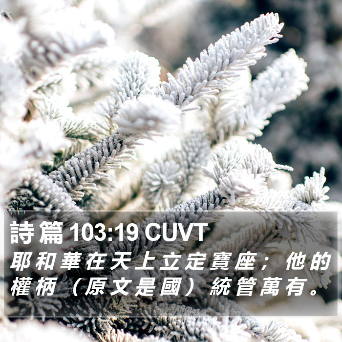 詩 篇 103:19 CUVT Bible Study