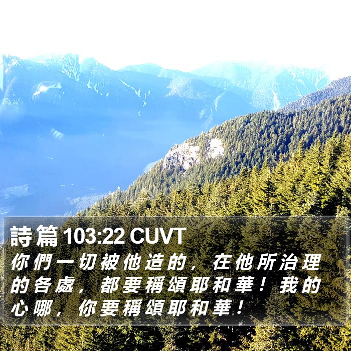 詩 篇 103:22 CUVT Bible Study