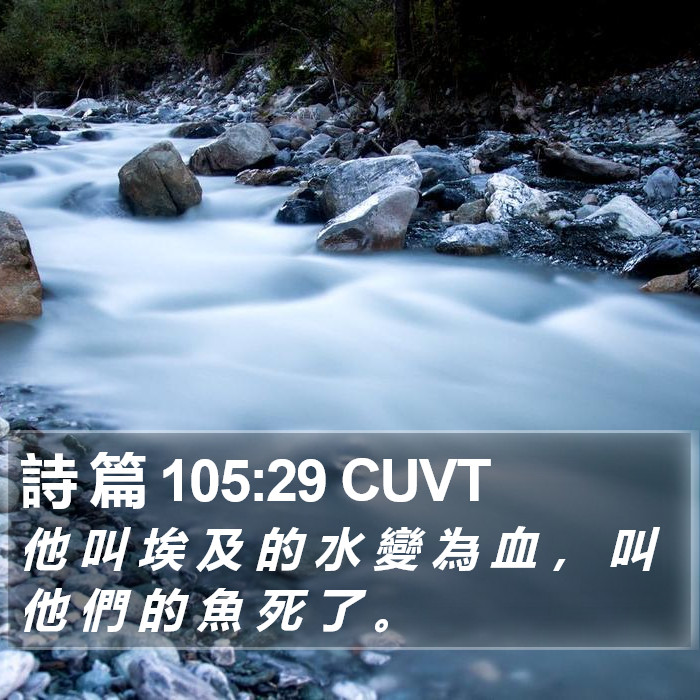 詩 篇 105:29 CUVT Bible Study