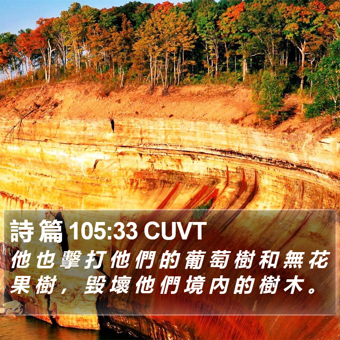 詩 篇 105:33 CUVT Bible Study