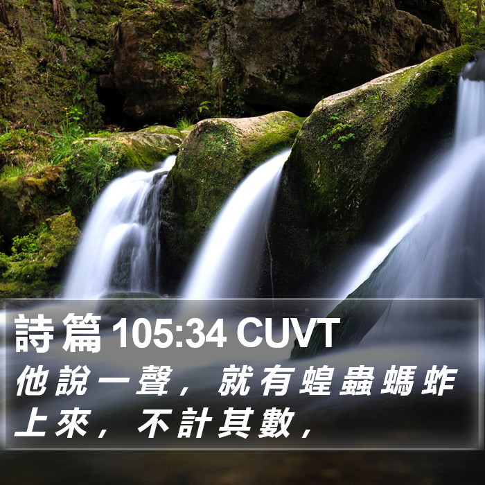 詩 篇 105:34 CUVT Bible Study