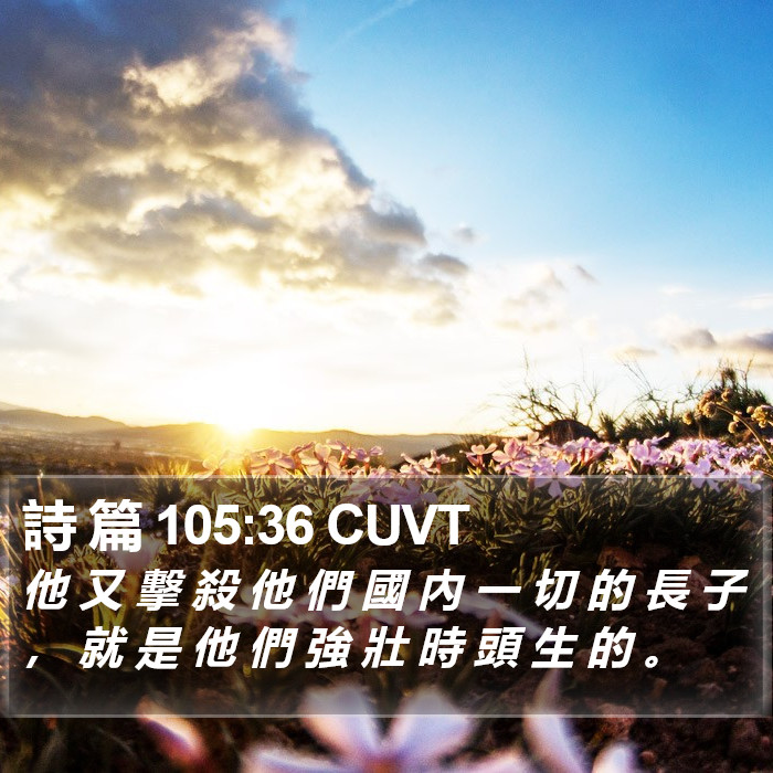 詩 篇 105:36 CUVT Bible Study