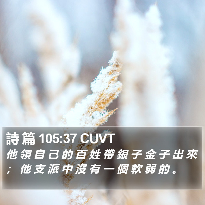 詩 篇 105:37 CUVT Bible Study