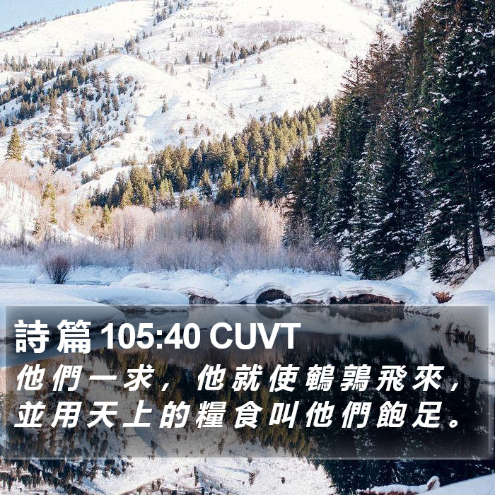 詩 篇 105:40 CUVT Bible Study