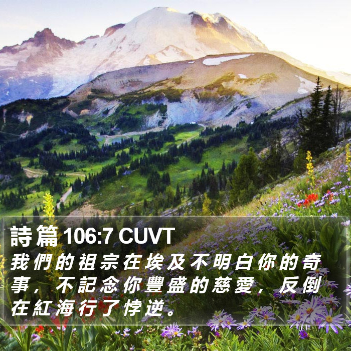 詩 篇 106:7 CUVT Bible Study