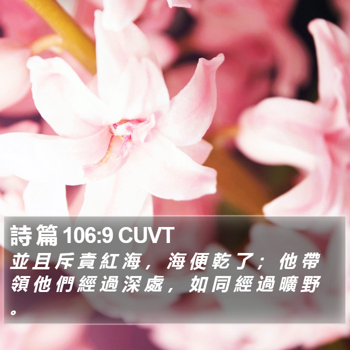 詩 篇 106:9 CUVT Bible Study