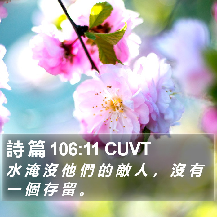 詩 篇 106:11 CUVT Bible Study