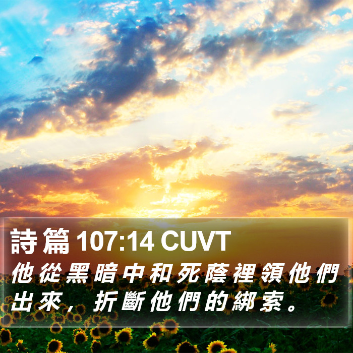 詩 篇 107:14 CUVT Bible Study