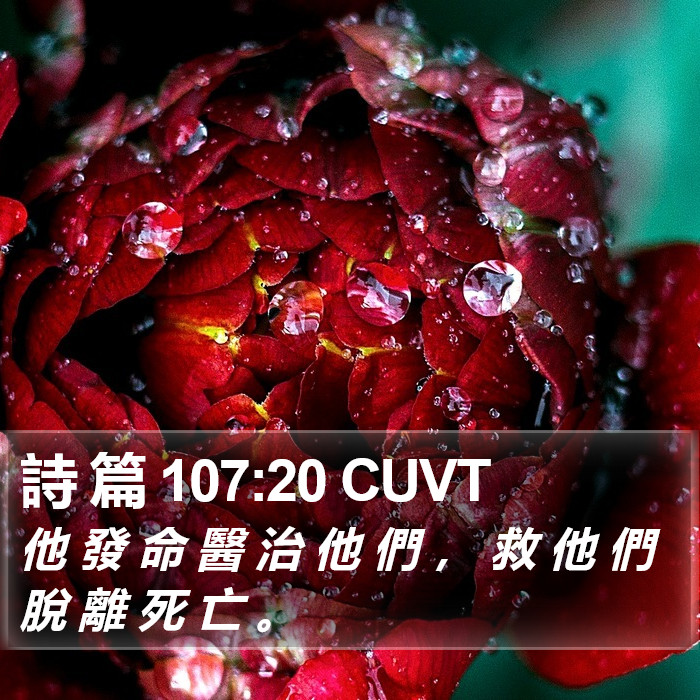 詩 篇 107:20 CUVT Bible Study