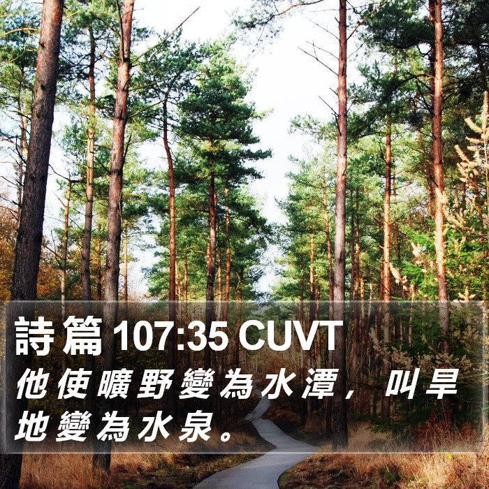 詩 篇 107:35 CUVT Bible Study