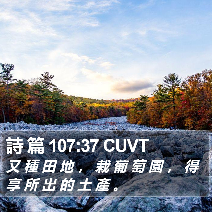 詩 篇 107:37 CUVT Bible Study