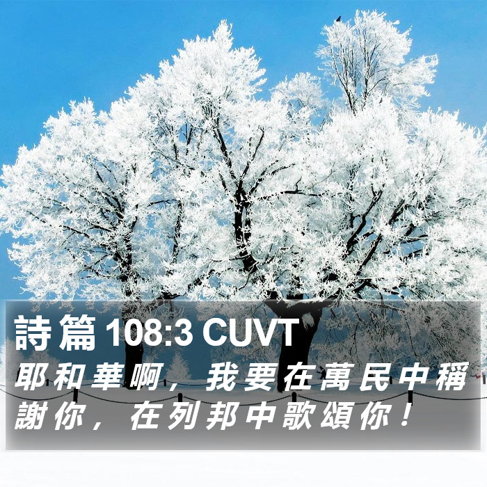 詩 篇 108:3 CUVT Bible Study