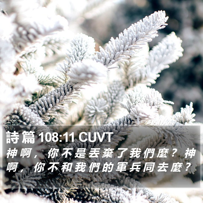 詩 篇 108:11 CUVT Bible Study