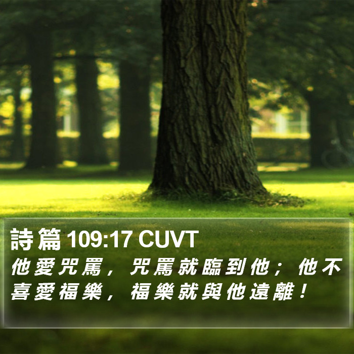 詩 篇 109:17 CUVT Bible Study