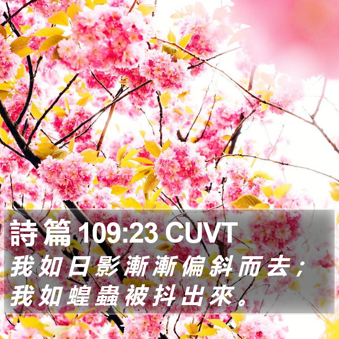 詩 篇 109:23 CUVT Bible Study