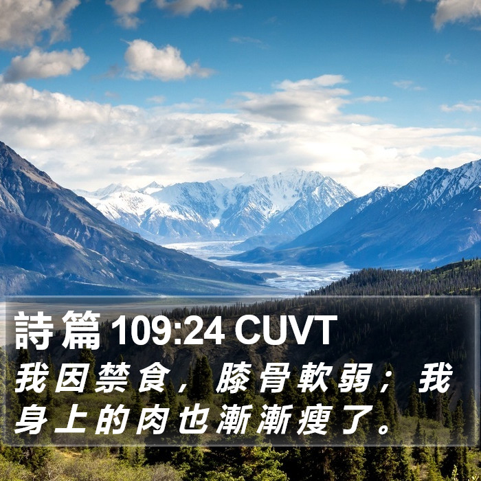 詩 篇 109:24 CUVT Bible Study