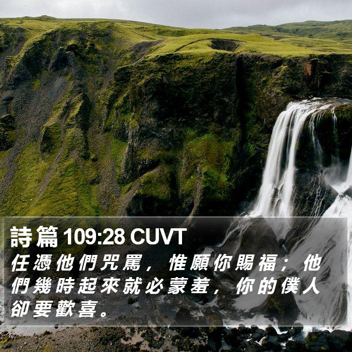 詩 篇 109:28 CUVT Bible Study