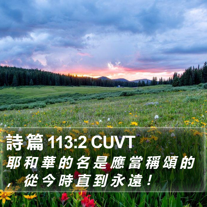 詩 篇 113:2 CUVT Bible Study