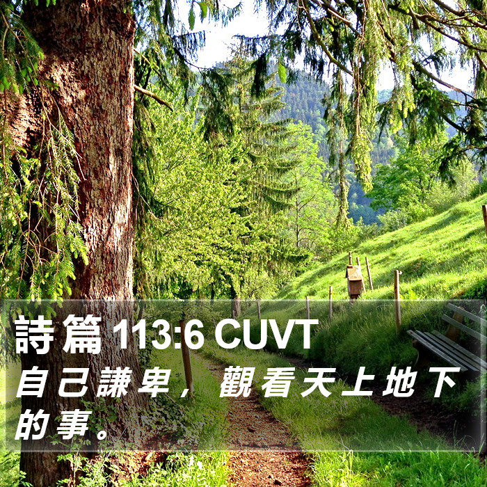 詩 篇 113:6 CUVT Bible Study