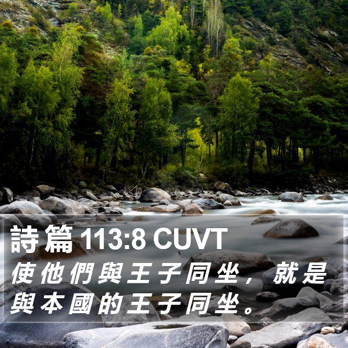 詩 篇 113:8 CUVT Bible Study