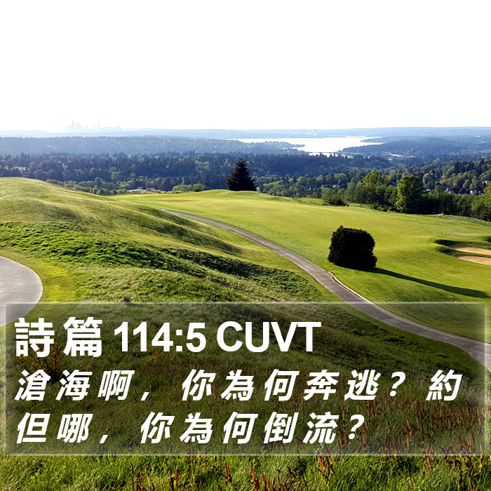 詩 篇 114:5 CUVT Bible Study