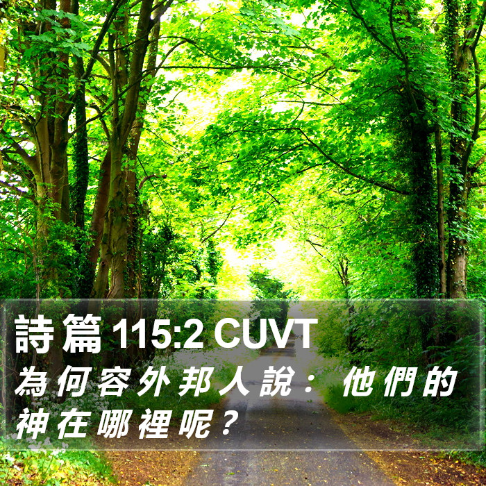 詩 篇 115:2 CUVT Bible Study