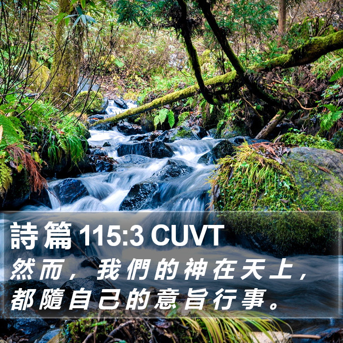 詩 篇 115:3 CUVT Bible Study