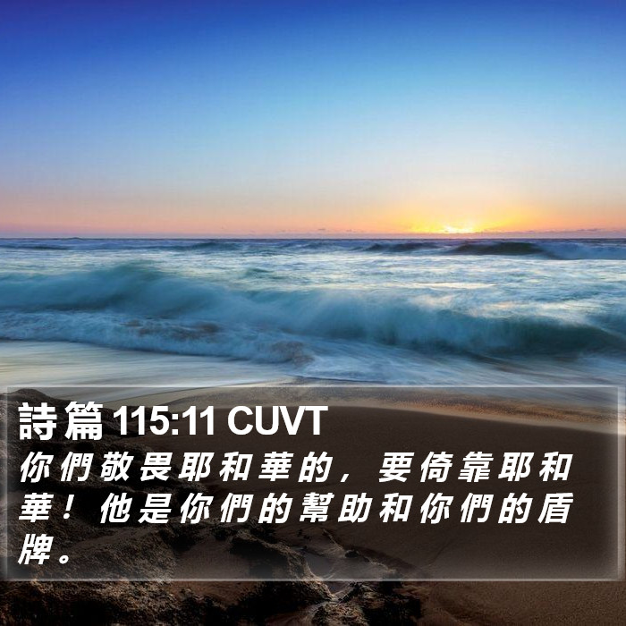 詩 篇 115:11 CUVT Bible Study