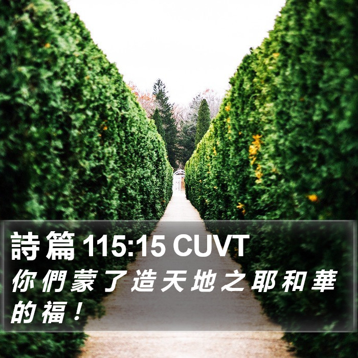 詩 篇 115:15 CUVT Bible Study