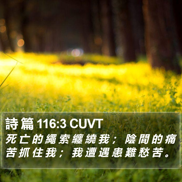 詩 篇 116:3 CUVT Bible Study