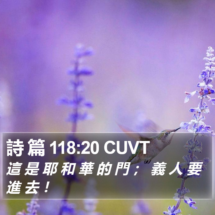 詩 篇 118:20 CUVT Bible Study