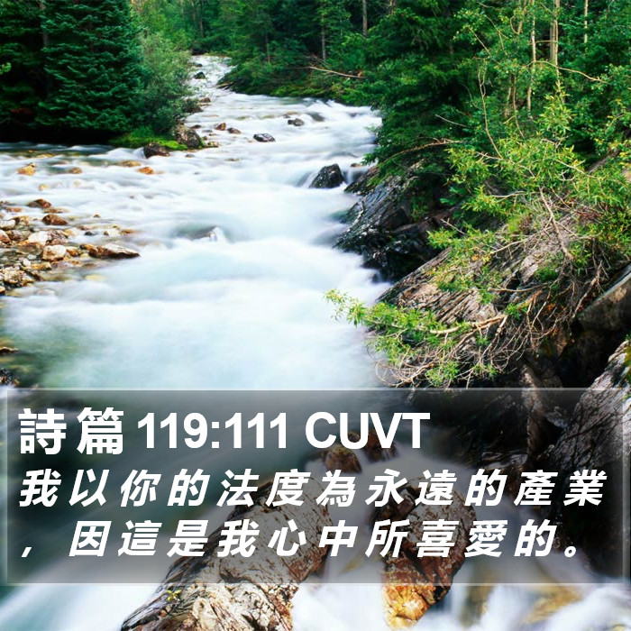 詩 篇 119:111 CUVT Bible Study