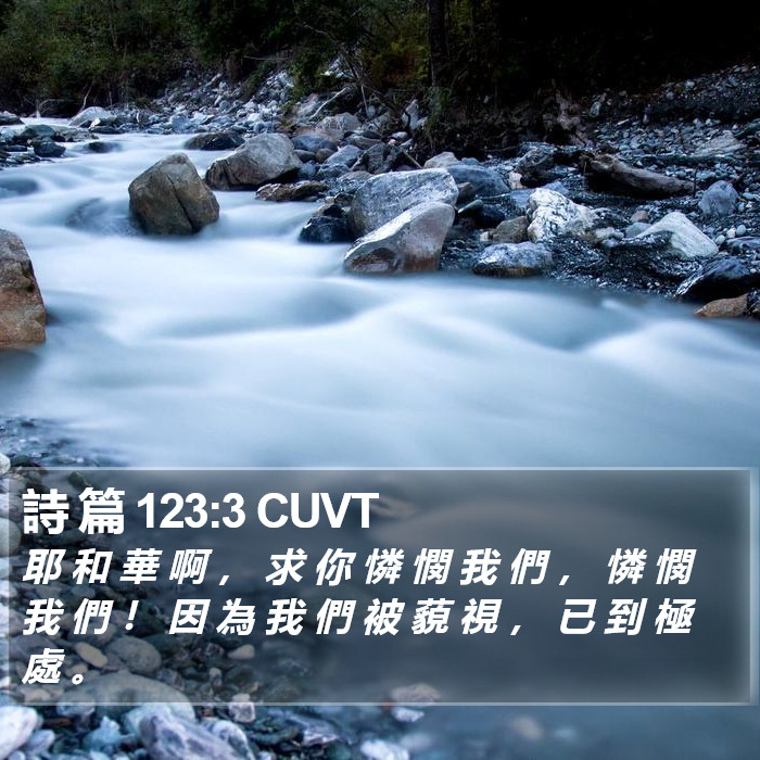 詩 篇 123:3 CUVT Bible Study