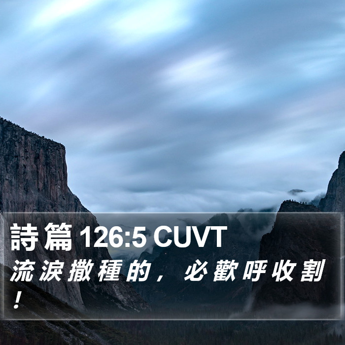 詩 篇 126:5 CUVT Bible Study