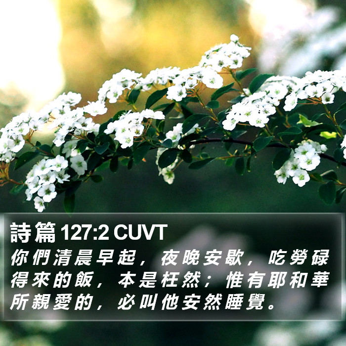 詩 篇 127:2 CUVT Bible Study