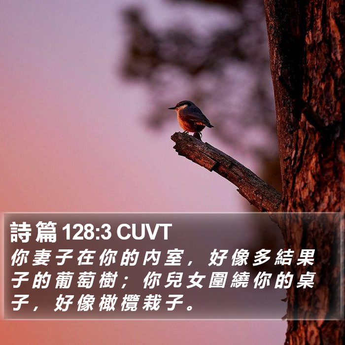 詩 篇 128:3 CUVT Bible Study