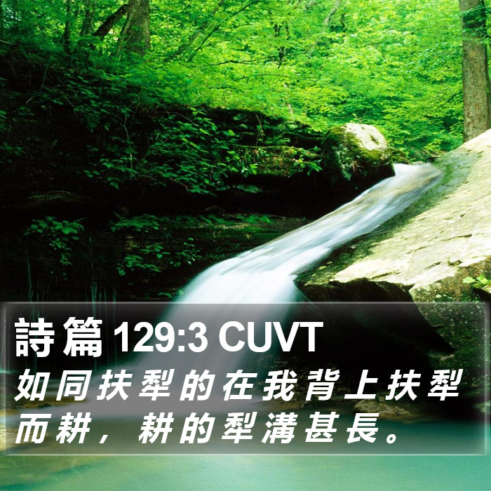詩 篇 129:3 CUVT Bible Study