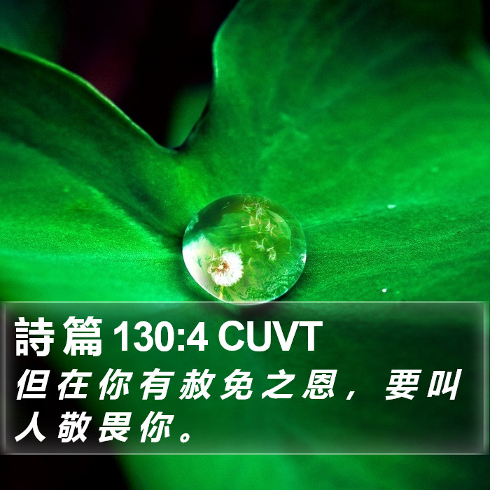 詩 篇 130:4 CUVT Bible Study