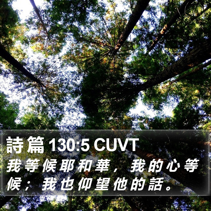 詩 篇 130:5 CUVT Bible Study