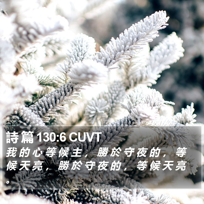 詩 篇 130:6 CUVT Bible Study