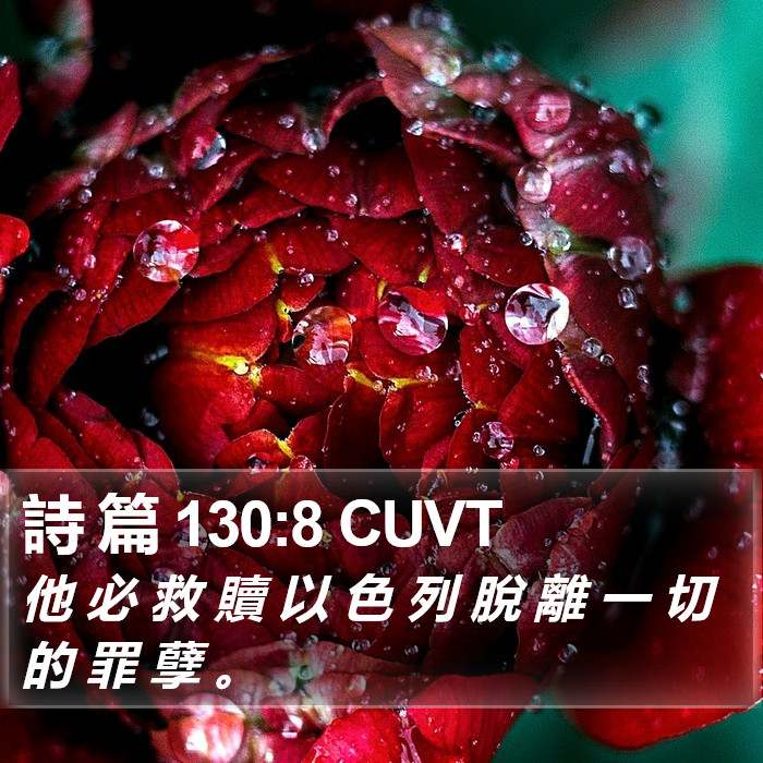 詩 篇 130:8 CUVT Bible Study