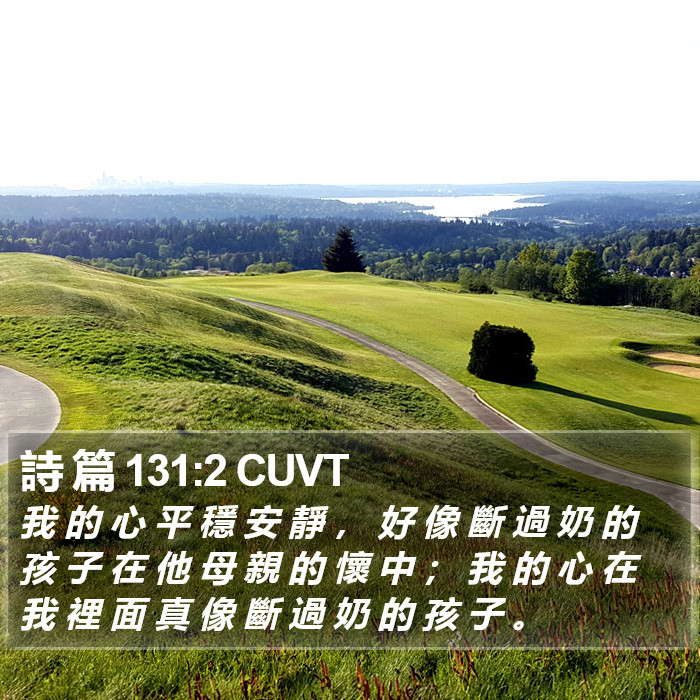 詩 篇 131:2 CUVT Bible Study