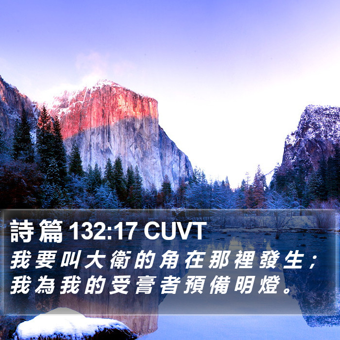 詩 篇 132:17 CUVT Bible Study