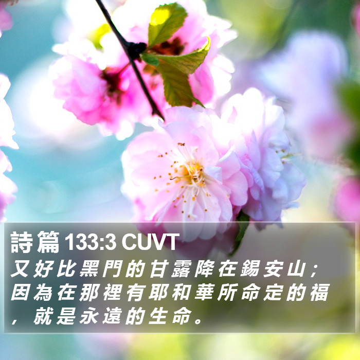 詩 篇 133:3 CUVT Bible Study