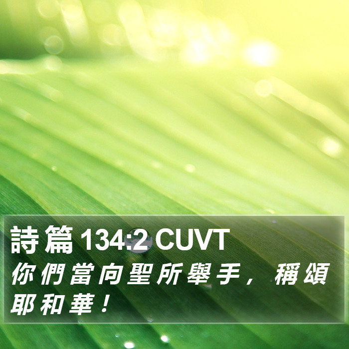 詩 篇 134:2 CUVT Bible Study