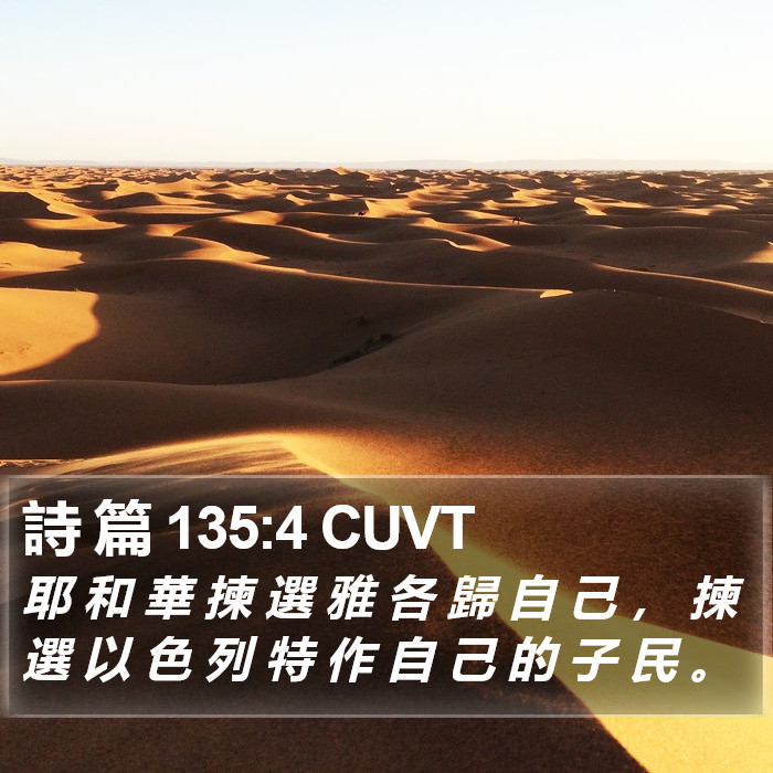 詩 篇 135:4 CUVT Bible Study