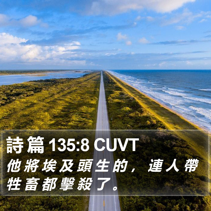 詩 篇 135:8 CUVT Bible Study