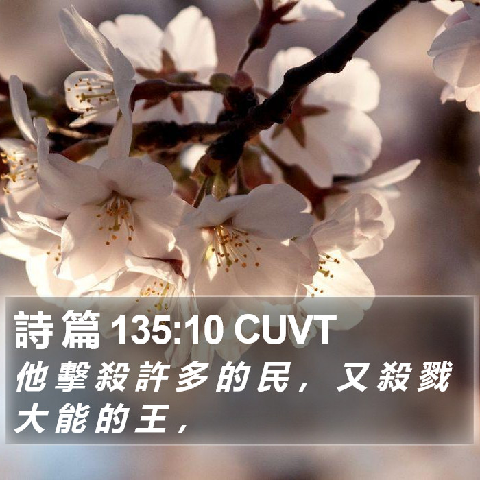 詩 篇 135:10 CUVT Bible Study