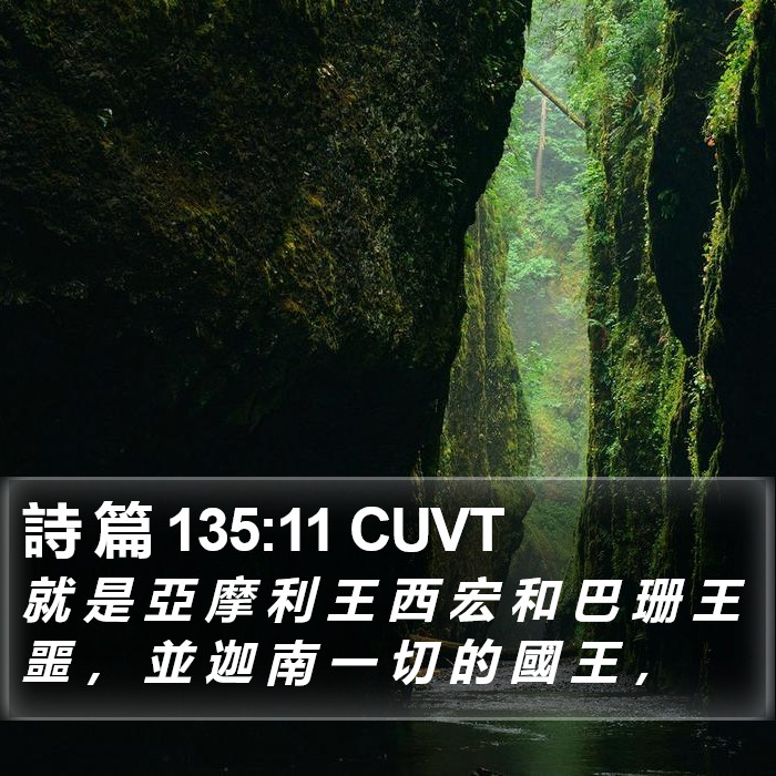 詩 篇 135:11 CUVT Bible Study