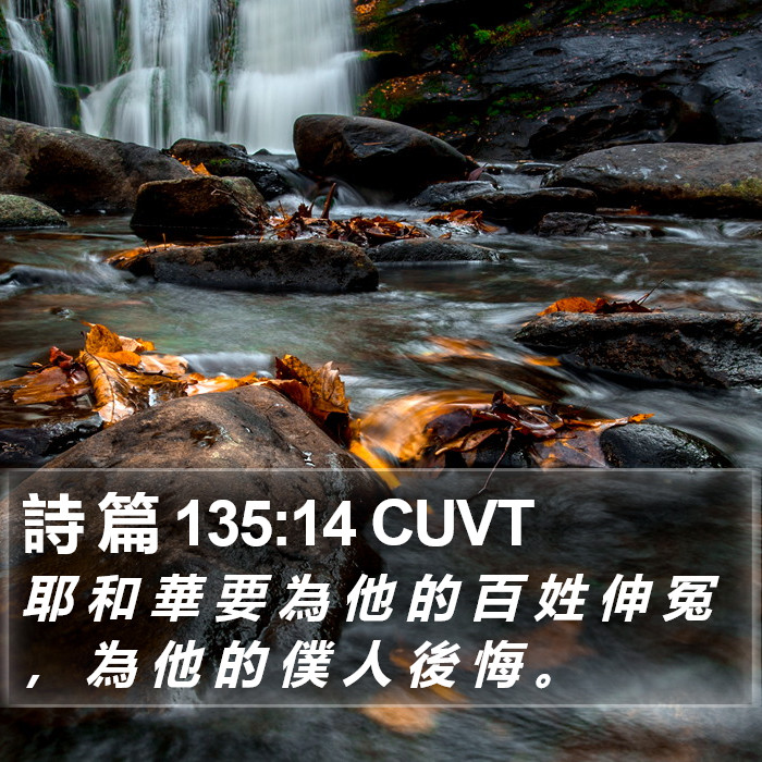 詩 篇 135:14 CUVT Bible Study
